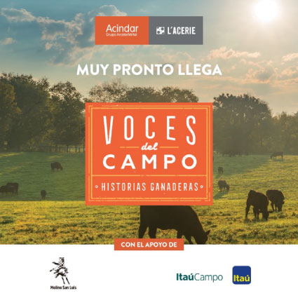 Lacerie VOCES DEL CAMPO